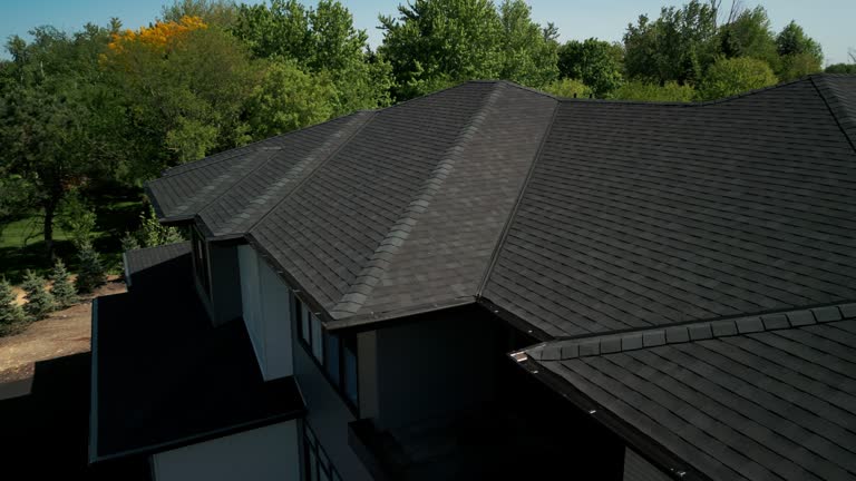 Best Sheet Metal Roofing  in Stone Ridge, VA