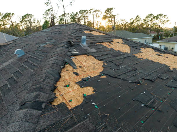 Best Roof Moss and Algae Removal  in Stone Ridge, VA